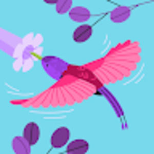 Meet your Posher, Araceli